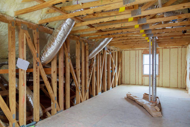 Best Residential Insulation in Holly Hill, SC