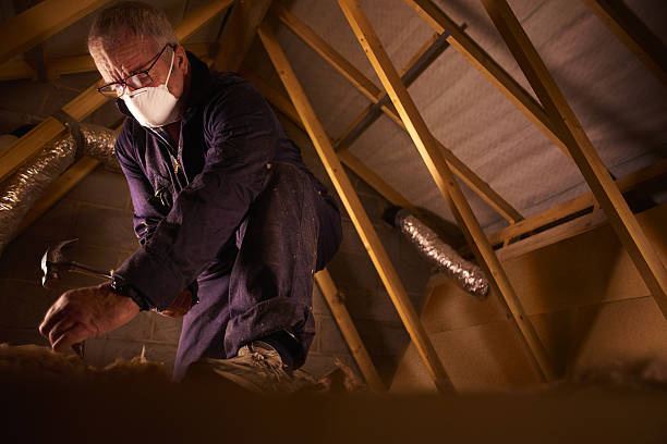 Best Insulation Maintenance and Repair in Holly Hill, SC